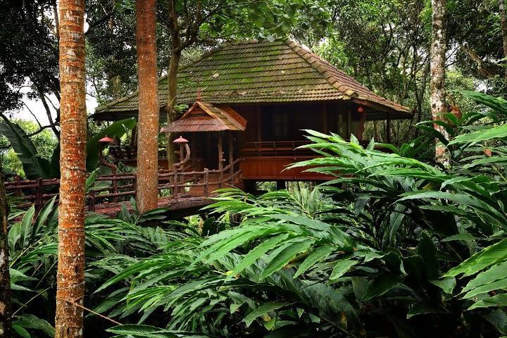 تيكَدِيْ Kalppavanam Heritage Resort المظهر الخارجي الصورة