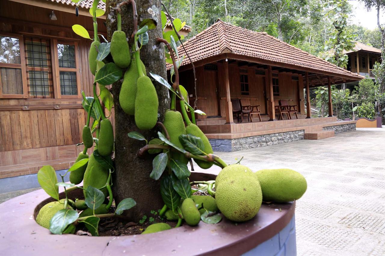 تيكَدِيْ Kalppavanam Heritage Resort المظهر الخارجي الصورة