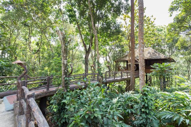 تيكَدِيْ Kalppavanam Heritage Resort المظهر الخارجي الصورة