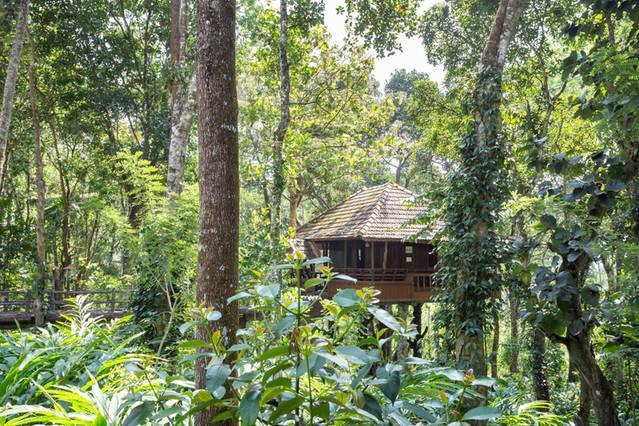 تيكَدِيْ Kalppavanam Heritage Resort المظهر الخارجي الصورة