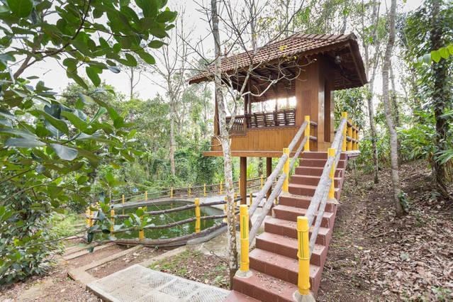 تيكَدِيْ Kalppavanam Heritage Resort المظهر الخارجي الصورة